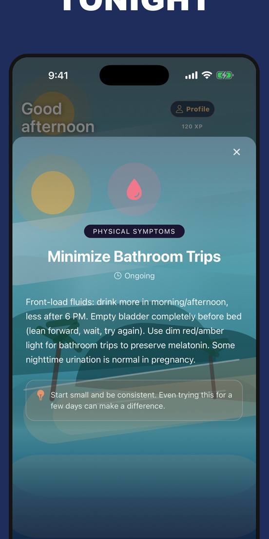A nightly Solas recommendation with its citation